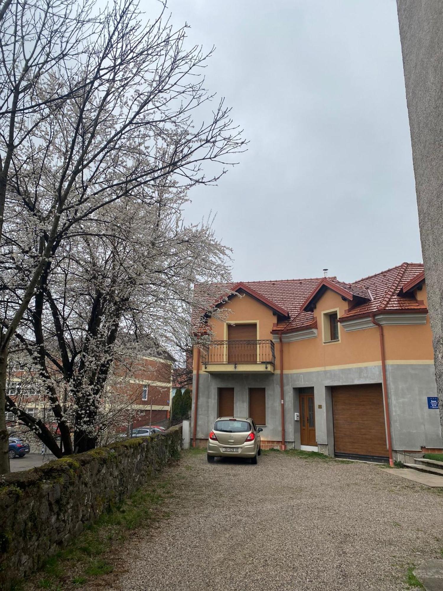 Apartman Galerija أوغولين المظهر الخارجي الصورة
